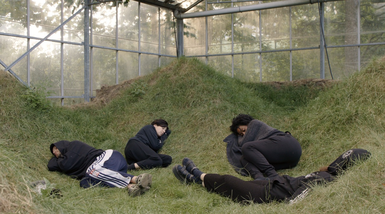 Four people are pictured, curled up in grass inside what appears to be a greenhouse. 