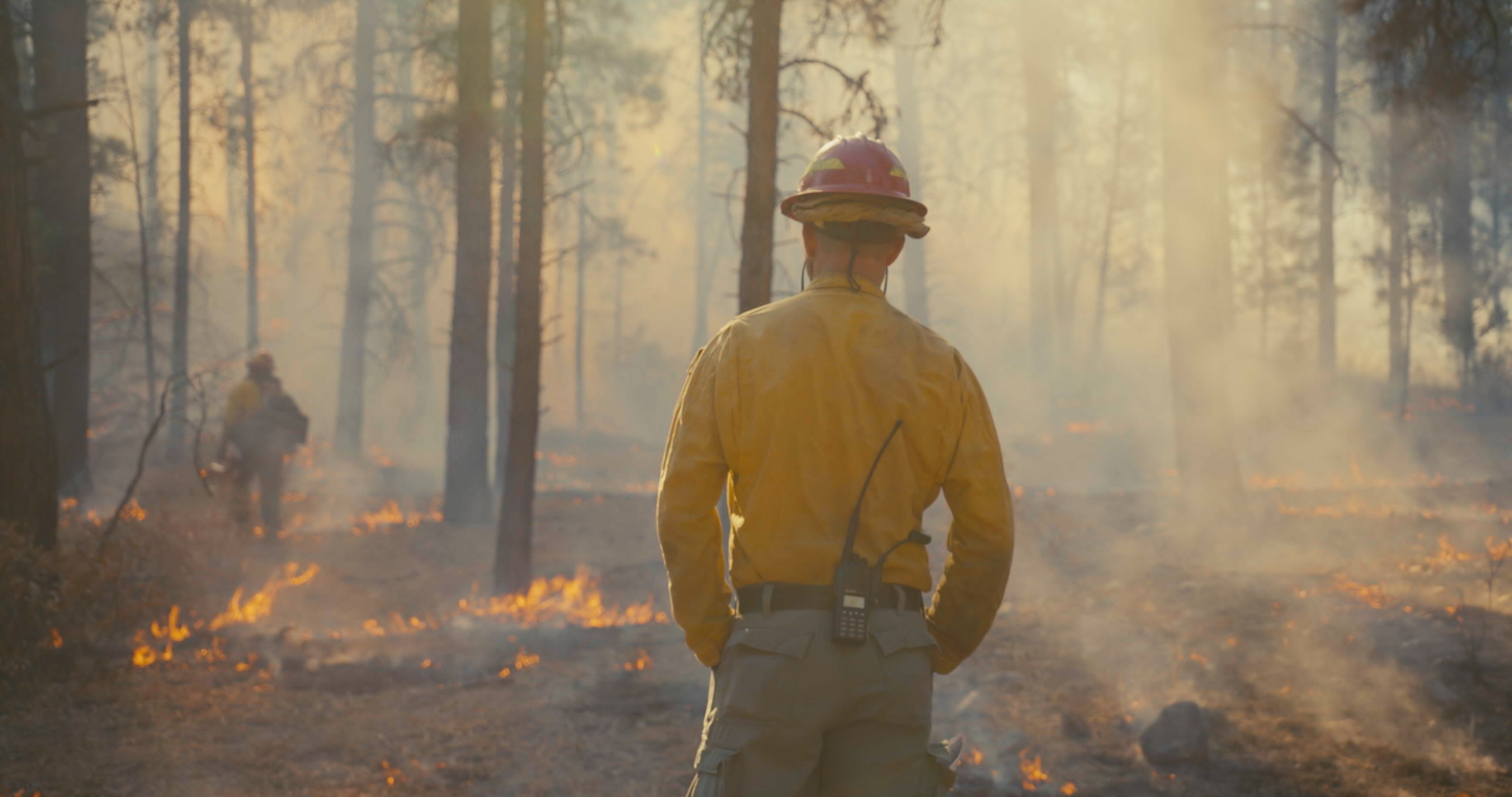 A firefighter wearing a yellow uniform looks at a burning field.