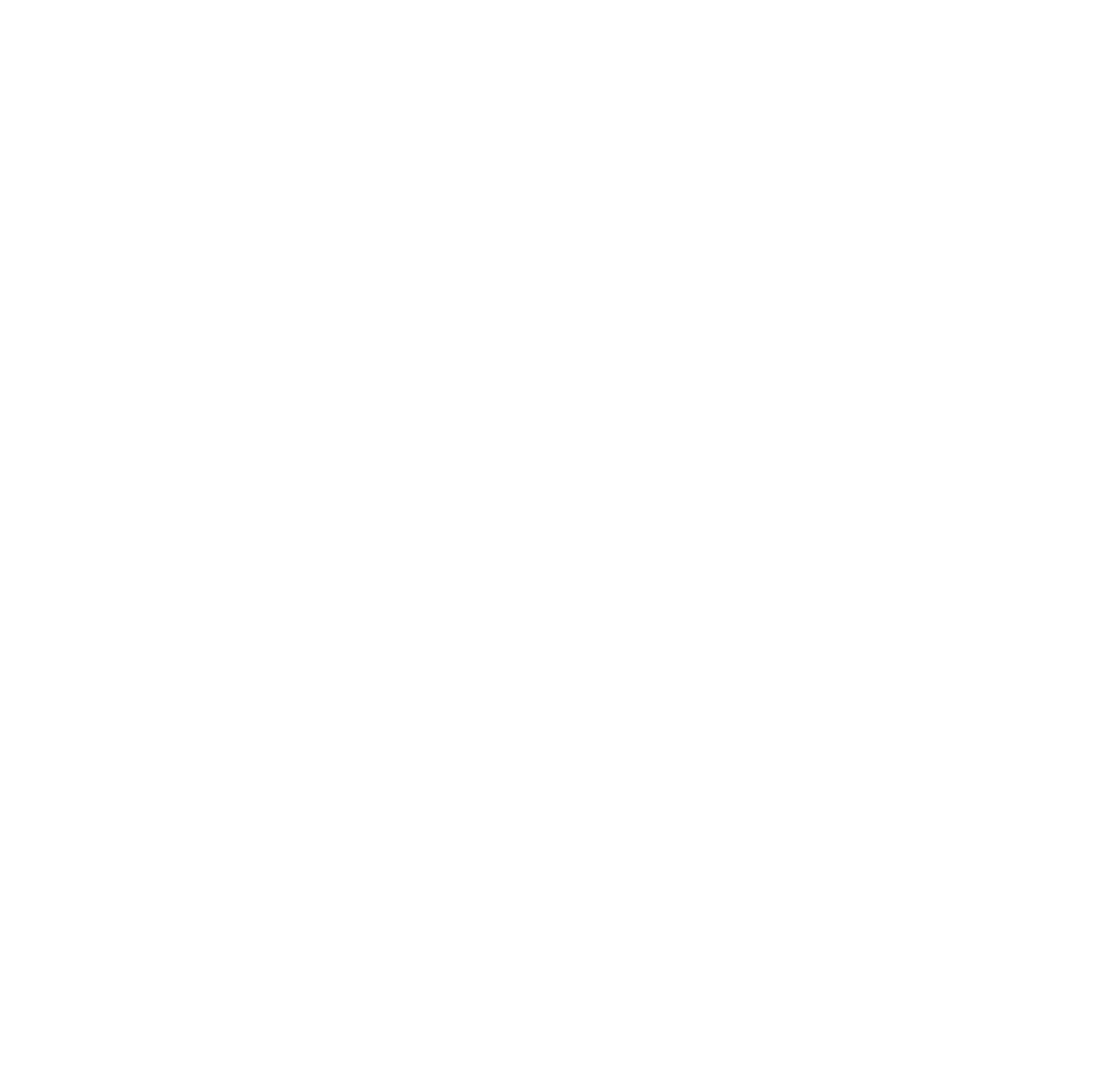 White Elephant Group, LLC logo