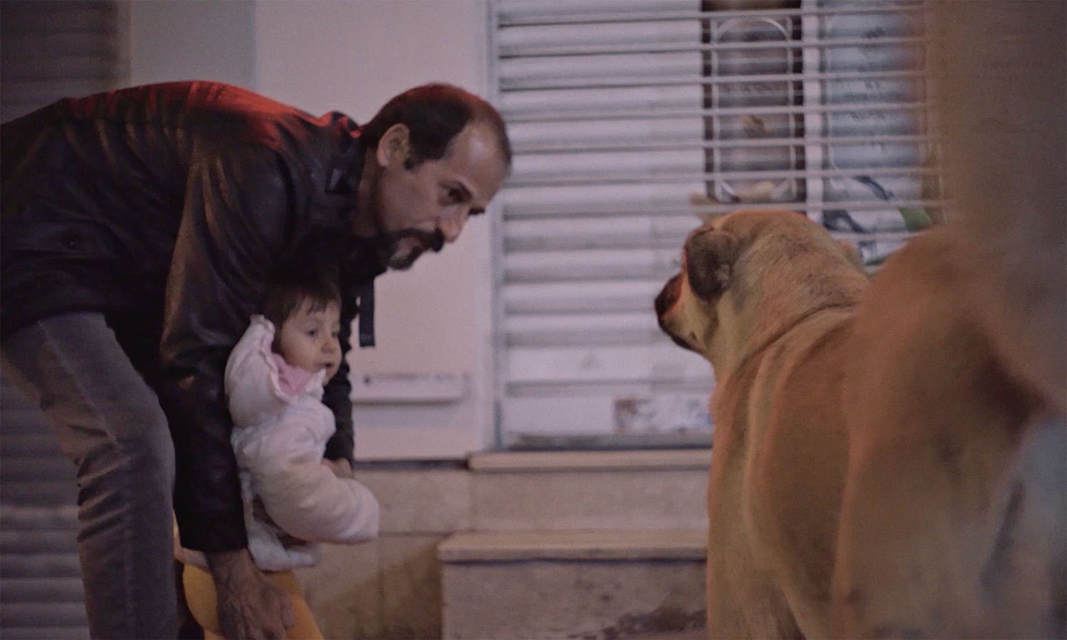 A father encourages his toddler to approach Nazar. From Elizabeth Lo's 'Stray' Courtesy of Elizabeth Lo