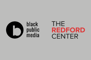 Logos of BPM and The Redford Center over a gray background.