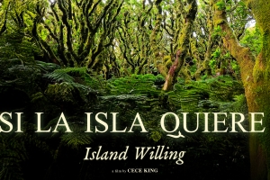 neon green trees from the base of a forrest surrounded by ferns with the title of the film and director on top in yellow writing "Si la Isla quiere" a film by Cece King