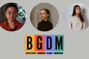 Three images of this year's BGDM fellows appear above the BGDM logo. 