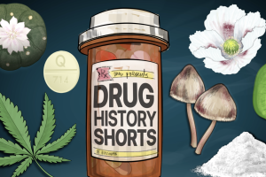 A prescription bottle - labeled with "Drug History Shorts" - is surrounded by various psychoactive drugs, such as the cannabis leaf, the peyote cactus, psilocybin mushrooms, coca, and the poppy plant.
