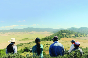 five people are standing on the top of a hill and looking out over a rural landscape in Mexico, we can only see the backs of their heads