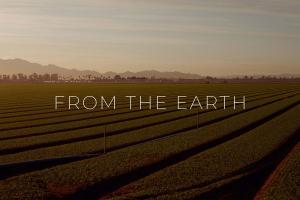 Aerial shot of a farm at dawn, with 'From the Earth' superimposed on top in white text