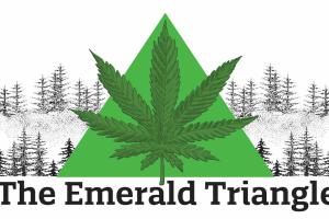 Marijuana leaf in front of an emerald triangle with sketched pine trees surrounding. 