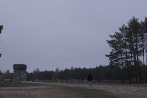 Treblinka Monument at a distance with a figure walking through the stones.
