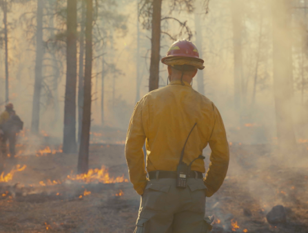 A firefighter wearing a yellow uniform looks at a burning field.