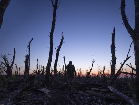 At dusk the silhouette of a soldier stands amid a burnt of forest trees