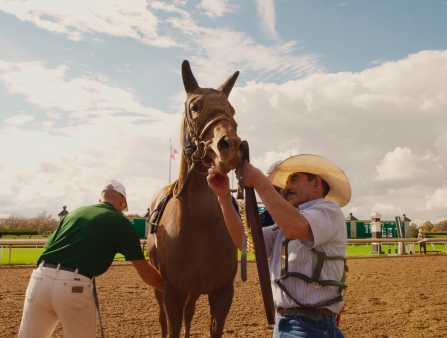 A Latino man wearing a white cowboy hat holds the bridle of a racehorse on a track.