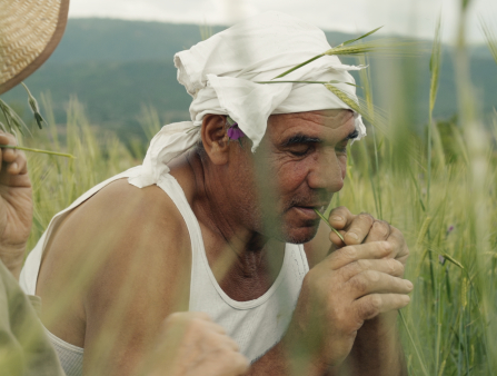 A man and a woman wearing sun hats in a wheat field