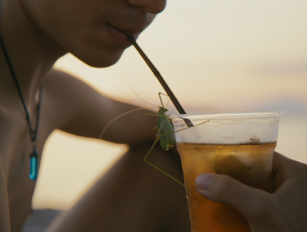 A light-skinned teenage boy whose face we don't see holds a cold drink in his hand as he sips from its straw, while a green cricket sits atop the glass