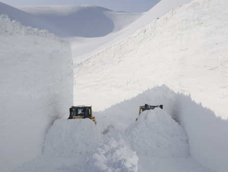 Two construction vehicles are overpowered by the snow all around them in a polar environment