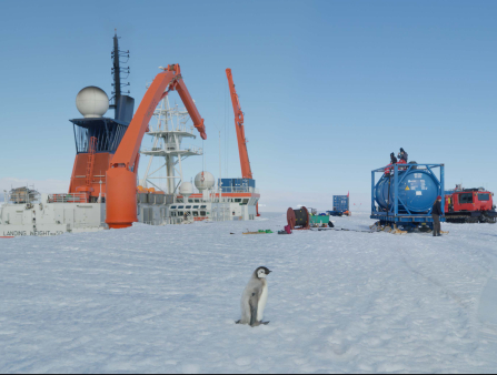 A baby penguin stands on a desolate snowy landscape as machinery and some workers work behind him