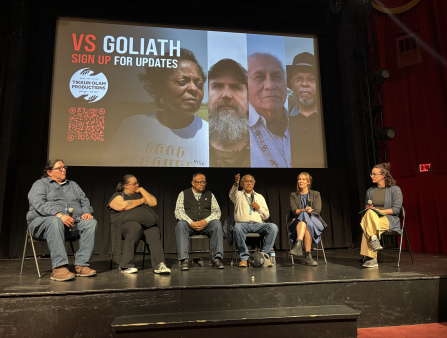 Four women and two men sit on a stage in folding chairs. Two hold microphones. Behind the people is a large screen with images from Vs. Goliath and a QR code