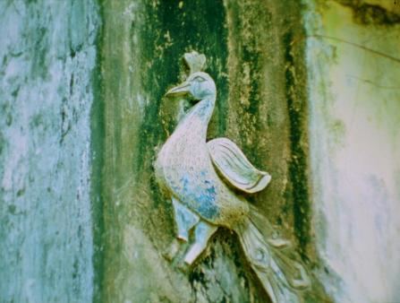 An aged stone carving of a peacock on a stone surface