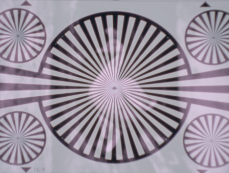 Geometric circles and lines superimposed over an image of a stone carved peacock