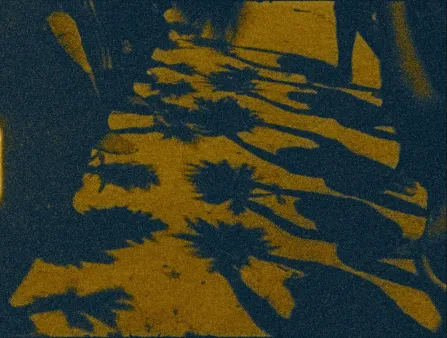Blue shadows of a row of people on yellow ground
