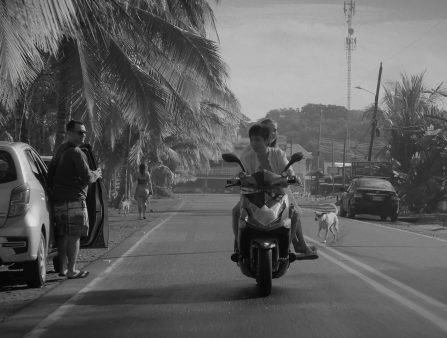 Black and white image of a couple on a motorcycle driving down a road with cars parked on either side and large palm trees lining the road. A man is getting out of one of the cars. A small white dog tails the bike