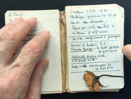 An old hand presses on the left side of a small open notebook, which contains writing in ink on grid paper and a pressed flower