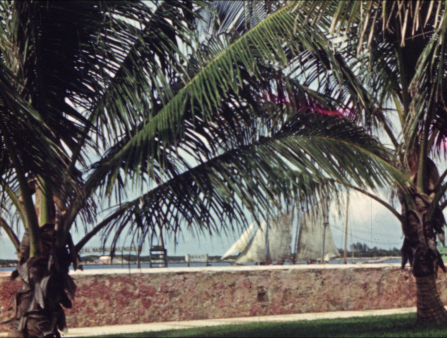 The crowns of two large palm trees cover the majority of the screen. A low brick wall and a ship with many sails can be seen through the fronds