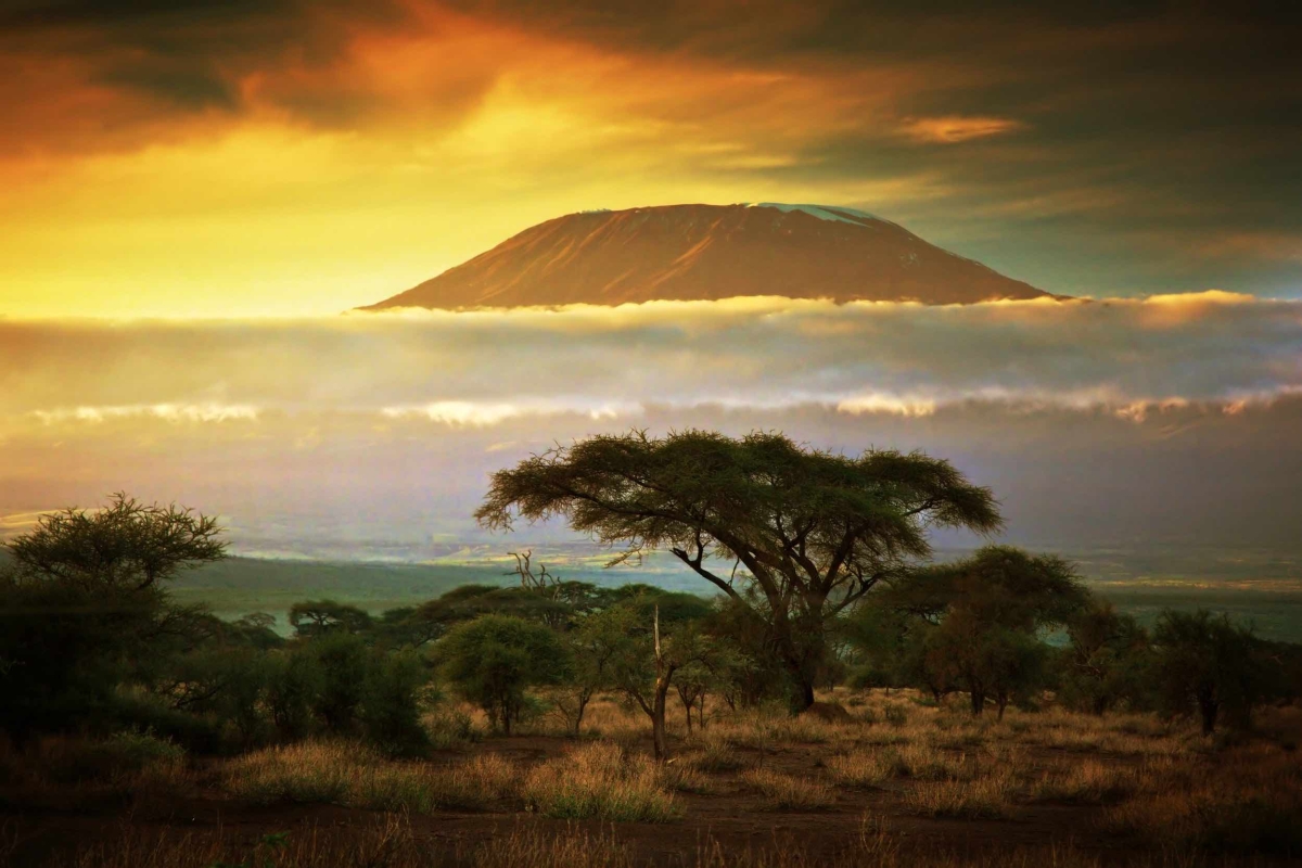An image of Mount Kilimanjaro at sunset with clouds and a savanna tree in the foreground