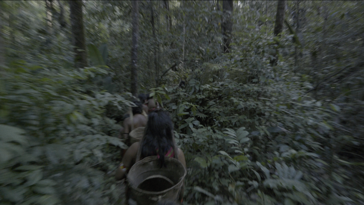 Still from 'Mãri Hi' showing a group of Yanomami walking through a dense forest.