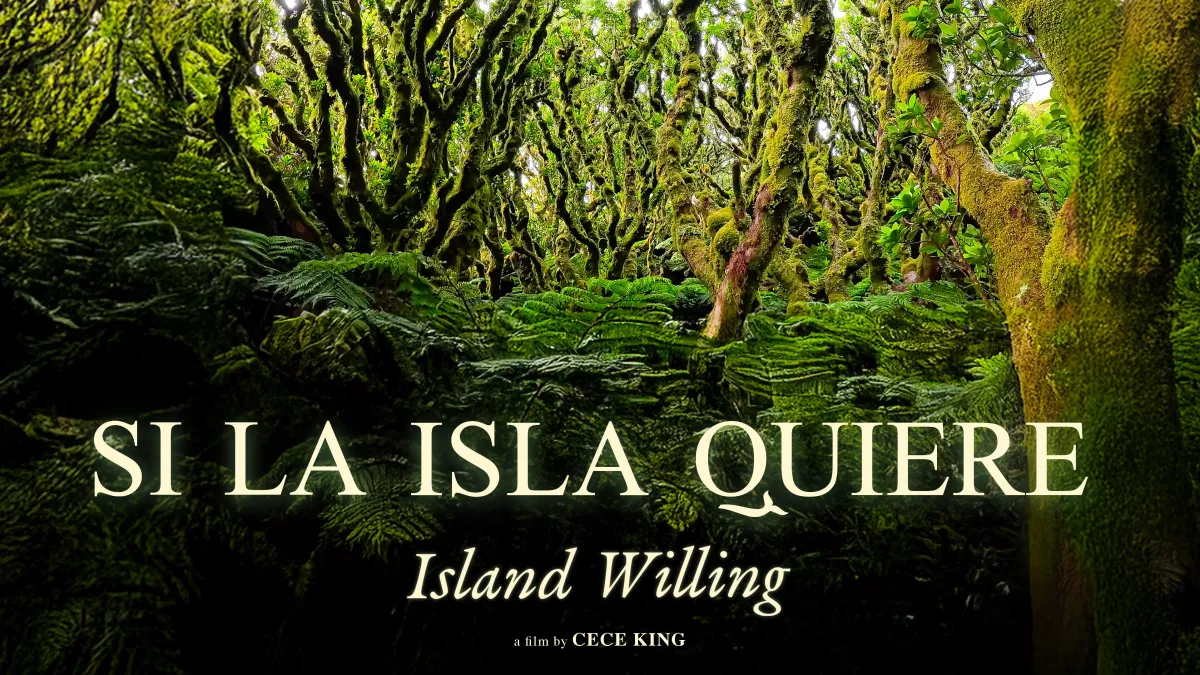 neon green trees from the base of a forrest surrounded by ferns with the title of the film and director on top in yellow writing "Si la Isla quiere" a film by Cece King