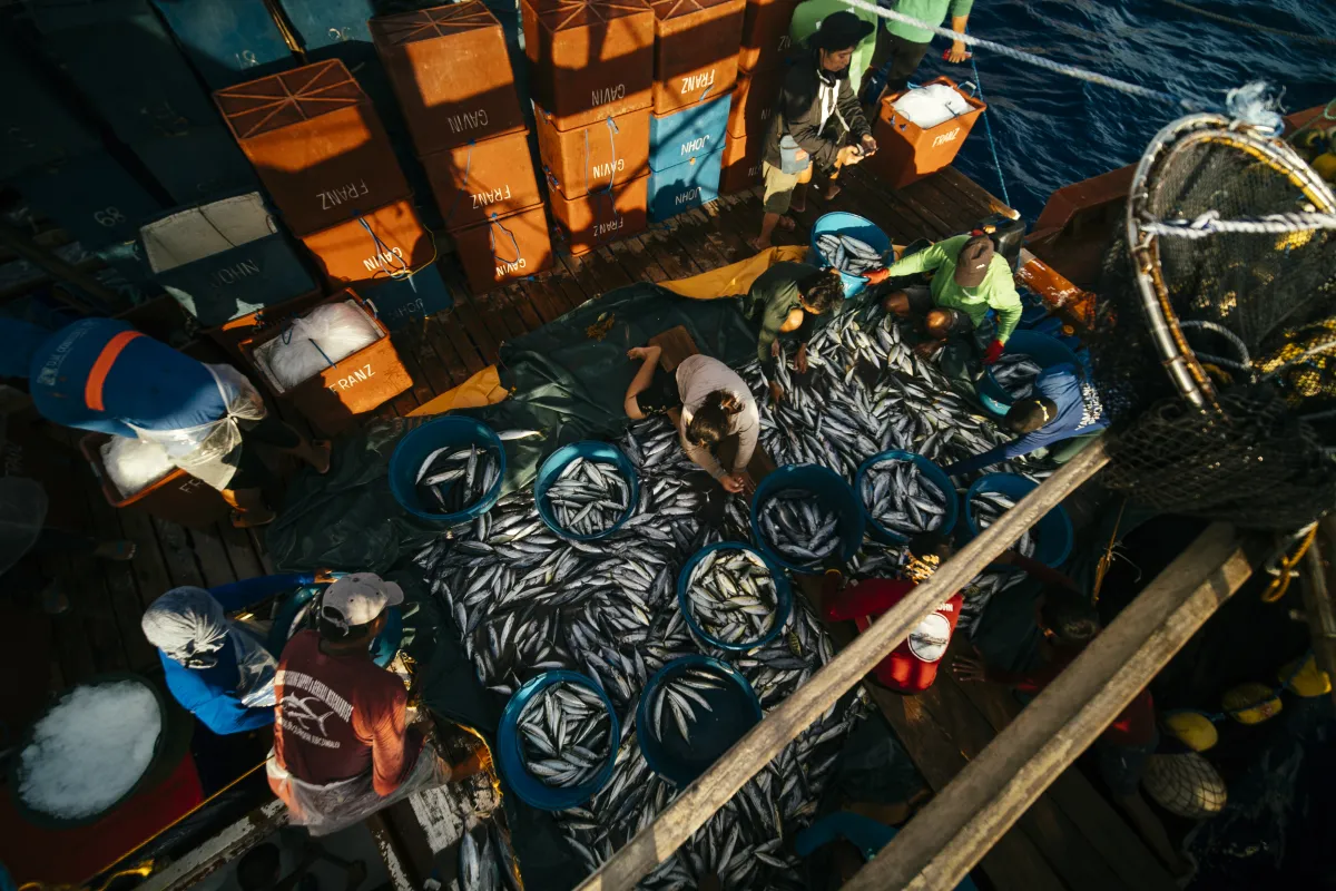 Dangerous Waters: Baby Ruth Villarama’s ‘Food Delivery: Fresh From the West Philippine Sea’ Finds Its Way Home After Suppression