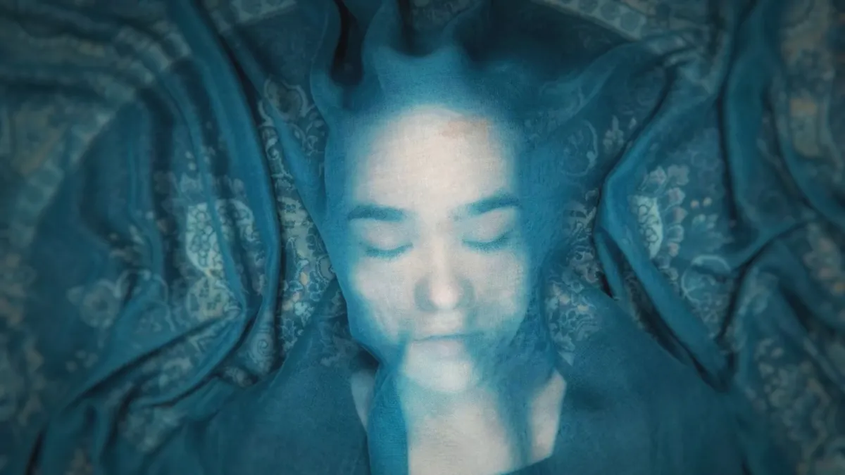 “Mind and Heart”: Mehrdad Oskouei and the Team of ‘A Fox Under a Pink Moon’ on Remote Collaboration