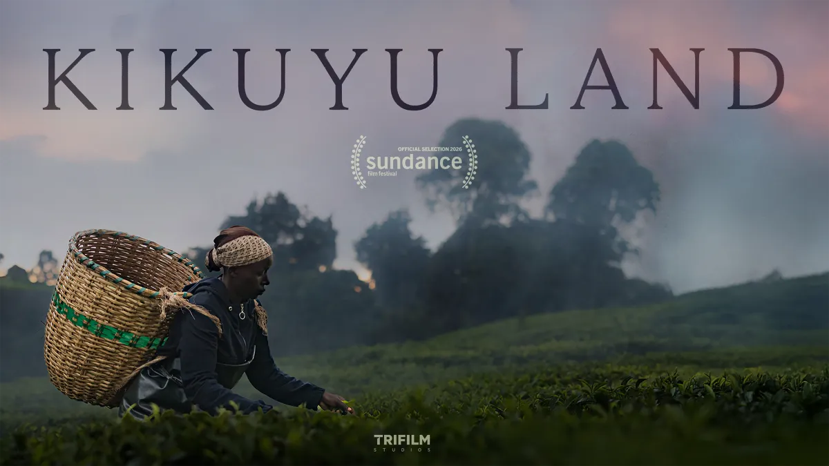 Official film poster; female tea field worker picking tea
