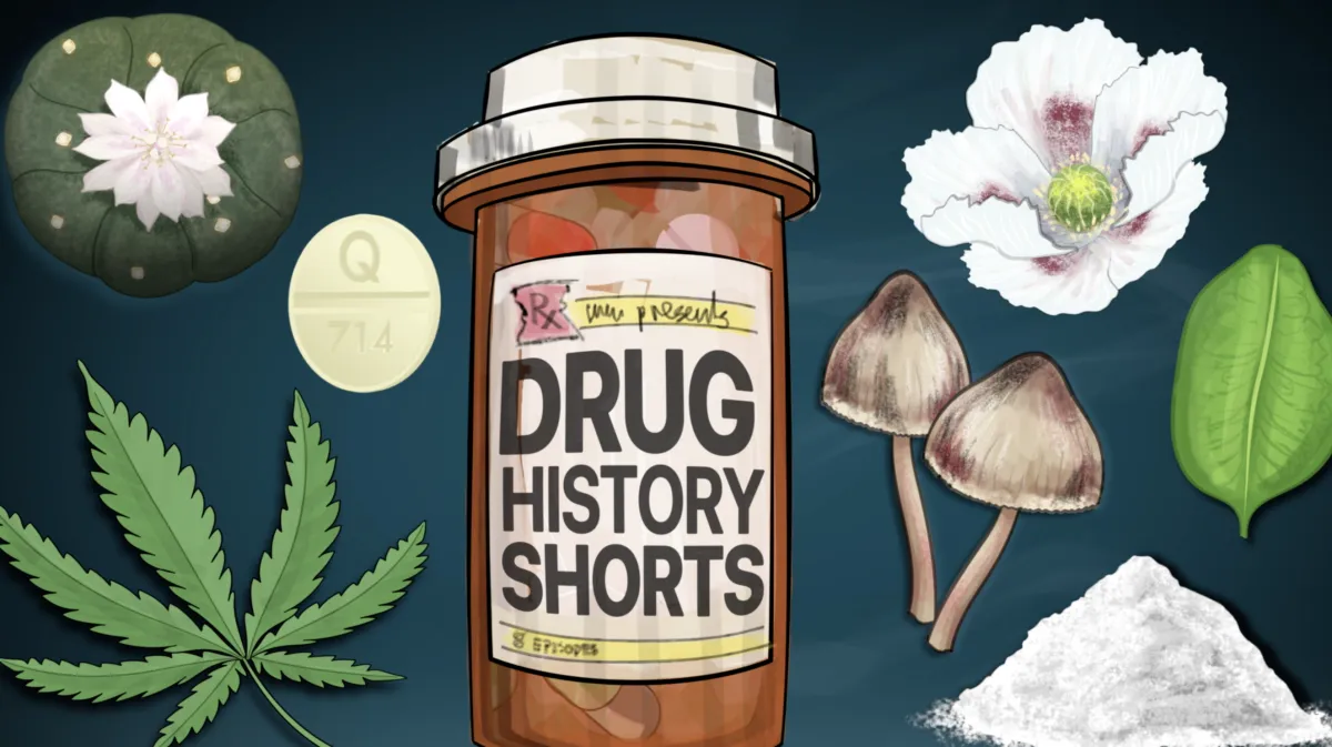 A prescription bottle - labeled with "Drug History Shorts" - is surrounded by various psychoactive drugs, such as the cannabis leaf, the peyote cactus, psilocybin mushrooms, coca, and the poppy plant.