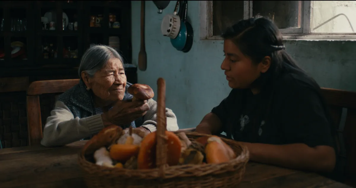 An elder Indigenous woman with long grey hair parted and pulled back holds a mushroom while sitting at a table with a younger Indigenous woman with dark black hair, a basket full of mushrooms in front of them both.