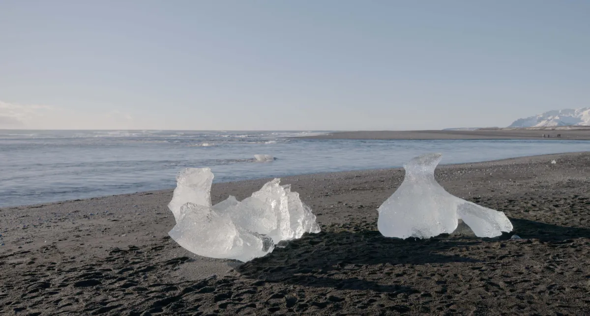 “Nothing Is for Granted”: Nikolaus Geyrhalter on Human Fragility, Scouting, and iPhones in ‘Melt’