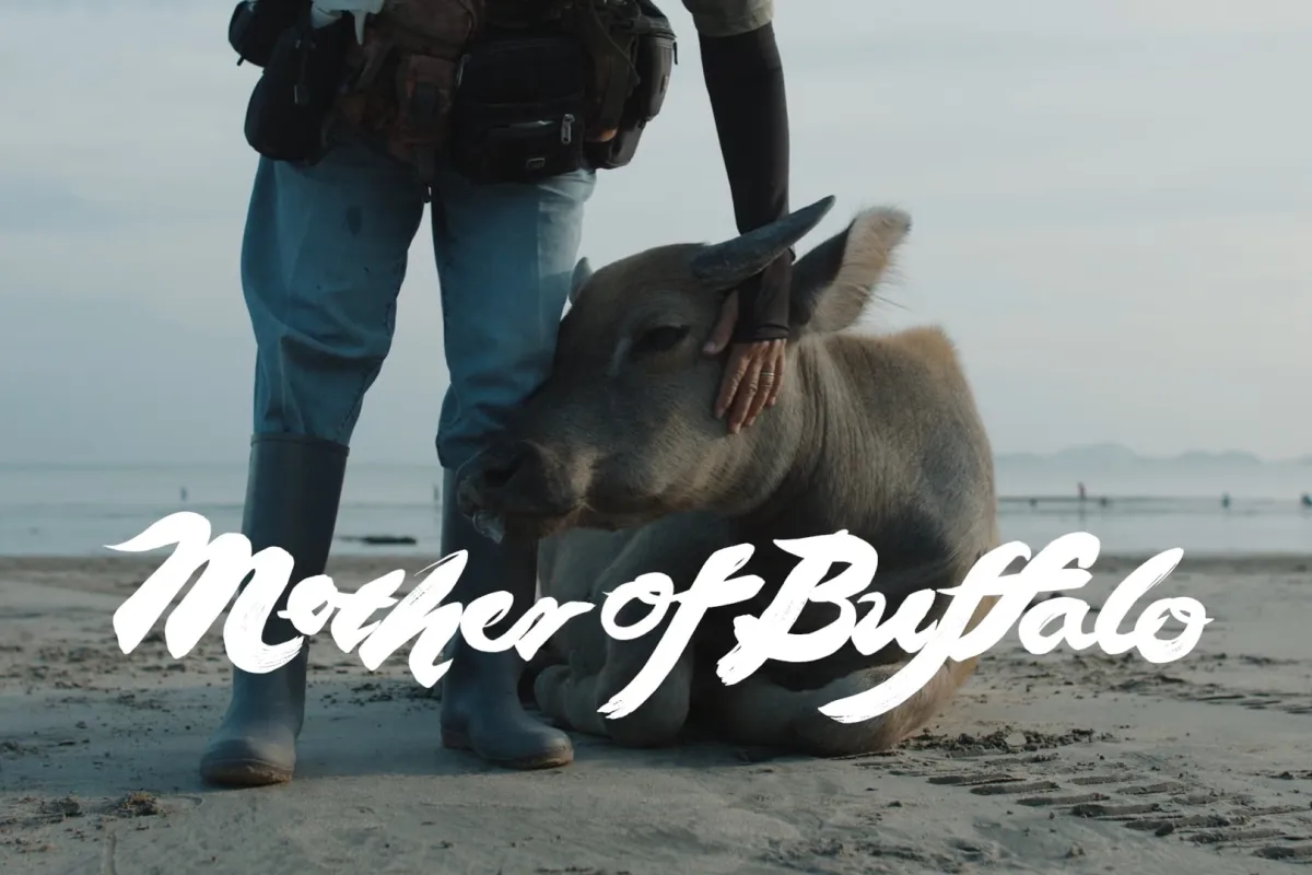 A title card from Mother of Buffalo: on an overcast beach at low tide, a person in jeans and grey rubber boots stands beside a resting water buffalo, one hand laid gently on its head. The film's title is rendered across the lower third in a white hand-painted brush script.