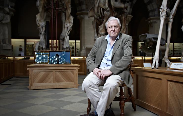 IDA Career Achievement Award: Sir David Attenborough  The Natural Historian as Innovative Storyteller