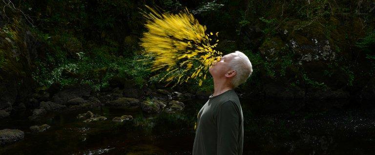 Reconnecting with Andy Goldsworthy: The 'Rivers & Tides' Artist Returns in 'Leaning into the Wind'