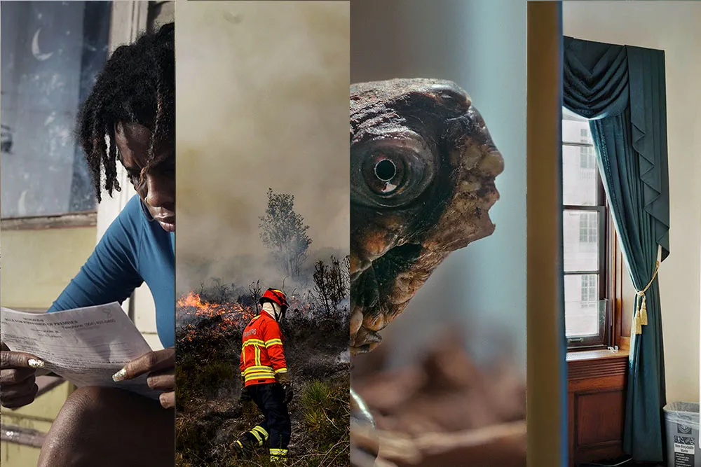 A collage of stills from four TIME Studios shorts.