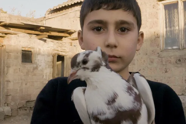 Vrej pauses with a dove days after being displaced from his hometown as a result of the 2020 war in The Republic of Artsakh. 