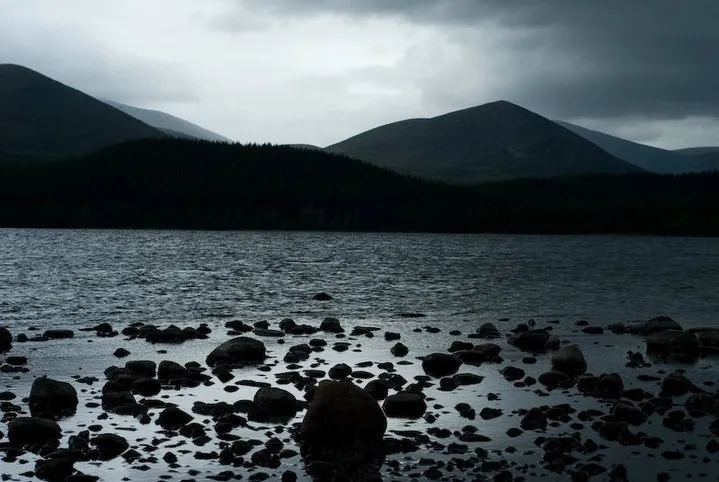 The rocky shore of a large body of water with mountains beyond.