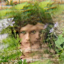 Distorted image of a woman's face among flowers