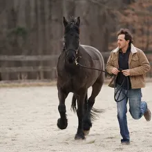 A man runs with a brown horse, holding it at the reins. They are outdoors and you can see the woods in the background