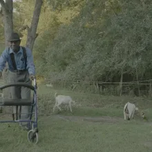 A black older man wearing a light blue long sleeved shirt and green pants pushes a walker in a field with two white goats grazing along a wire fence.