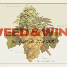 Hawgsbreath cannabis plant over Viognier grapes with the film title, WEED & WINE, overlaid.