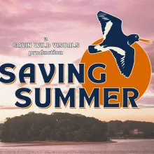 A sunset over an island covered in trees. The title Saving Summer in the foreground, in front of a drawing of the sun and a bird.