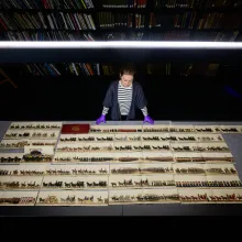 A white female archivist stands in front of a number of old illustrations of an 18th century English coronation, stacks like in a library behind her