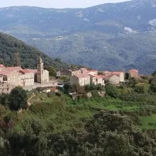 A small stone village with terracotta tile roofs and a tall bell tower clusters on a hillside, surrounded by dense green forest. Layered mountain ridges rise in the background under a pale sky, with a few clouds caught against the slopes. Patches of cultivated grass and low stone walls separate the village from the surrounding woodland. Dark green shrubs and trees fill the foreground.
