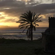 A dramatic sunset over the Molokai'i sea cliffs and ocean waves. In the foreground, a silhouetted stone tomb rests near the shore with a solitary palm tree  leaning slightly in the wind.