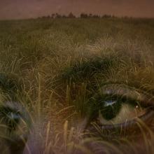 Superimposed image of a pair eyes against sugar fields in an image from “Stateless”. Courtesy of National Film Board, Canada.